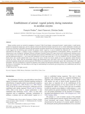 Establishment of Animal–Vegetal Polarity During Maturation in Ascidian Oocytes
