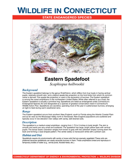 Eastern Spadefoot Fact Sheet