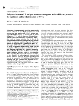 Polyomavirus Small T Antigen Transactivates Genes by Its Ability to Provoke the Synthesis and the Stabilization Of