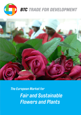 The European Market for Fair and Sustainable Flowers and Plants by Milco Rikken, Proverde December 2010