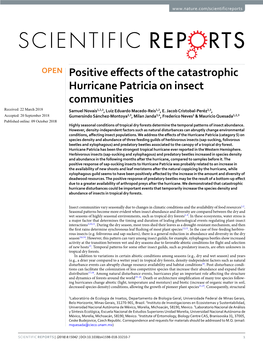 Positive Effects of the Catastrophic Hurricane Patricia on Insect