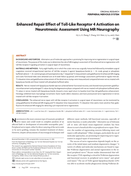 Enhanced Repair Effect of Toll-Like Receptor 4 Activation on Neurotmesis: Assessment Using MR Neurography