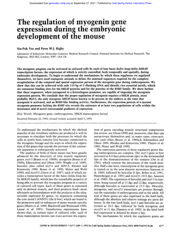 The Regulation of Myogenin Gene Expression Duringthe Embryonic Development of Tile Mouse