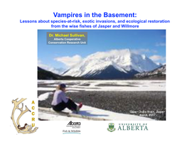 Vampires in the Basement: Lessons About Species-At-Risk, Exotic Invasions, and Ecological Restoration from the Wise Fishes of Jasper and Willmore