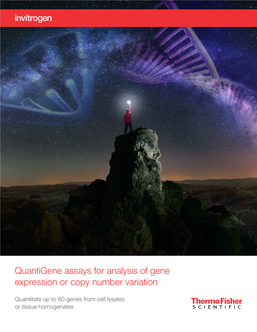 Quantigene Assays for Analysis of Gene Expression Or Copy Number Variation