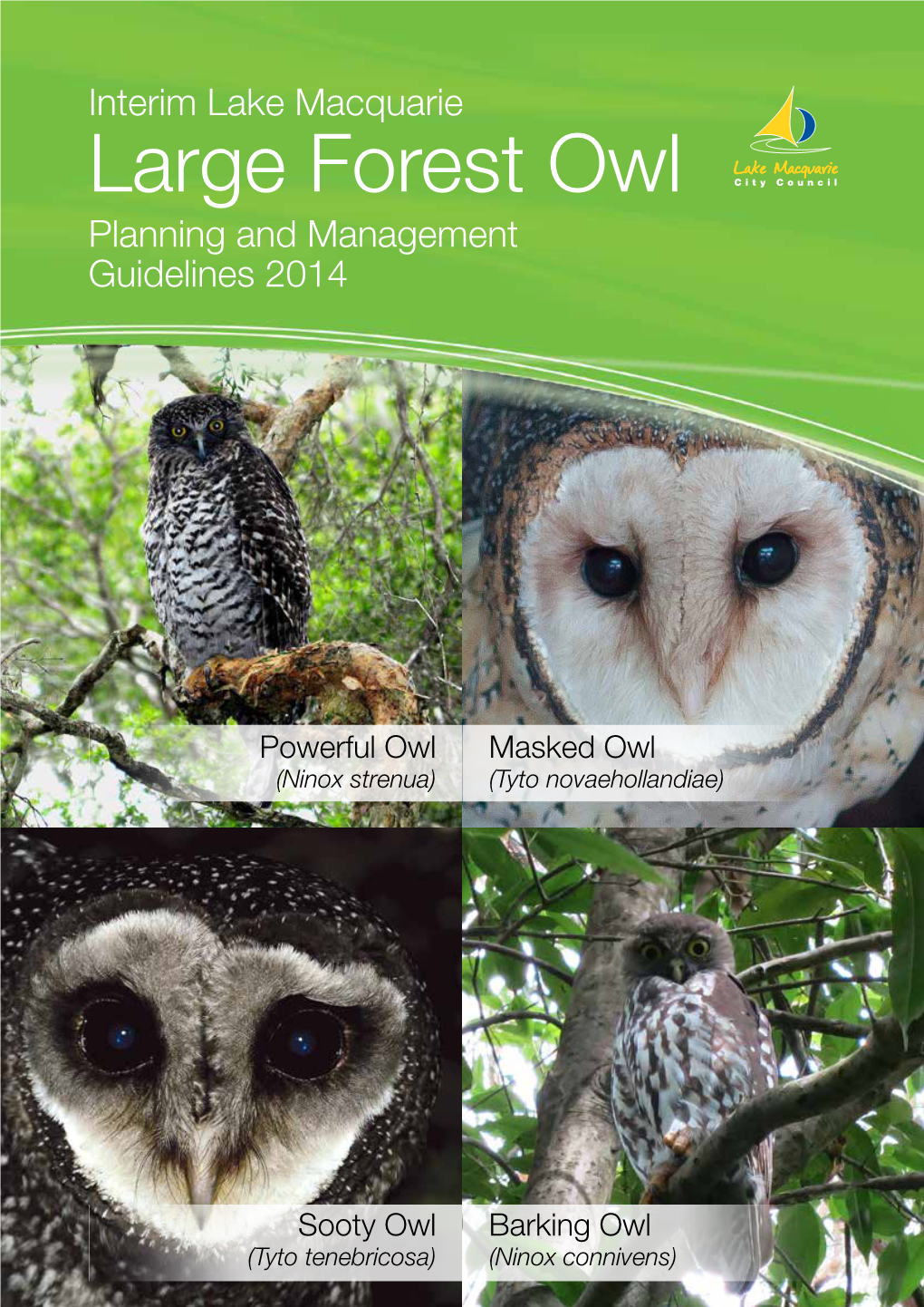 Interim Large Forest Owl Planning and Management Guidelines(PDF, 3MB)