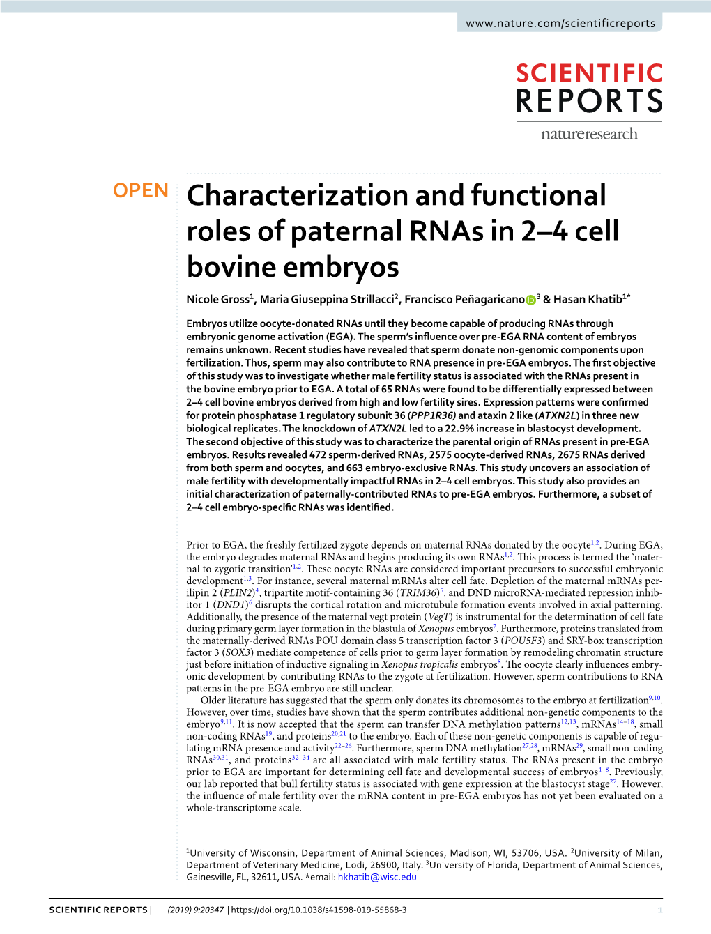 Characterization and Functional Roles of Paternal Rnas in 2–4 Cell Bovine