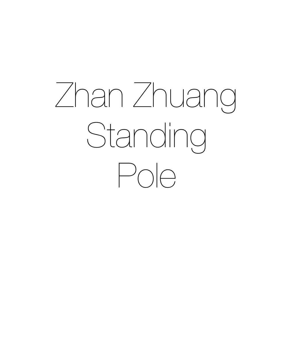 Zhan Zhuang Standing Pole Standing Pole - Zhan Zhuang