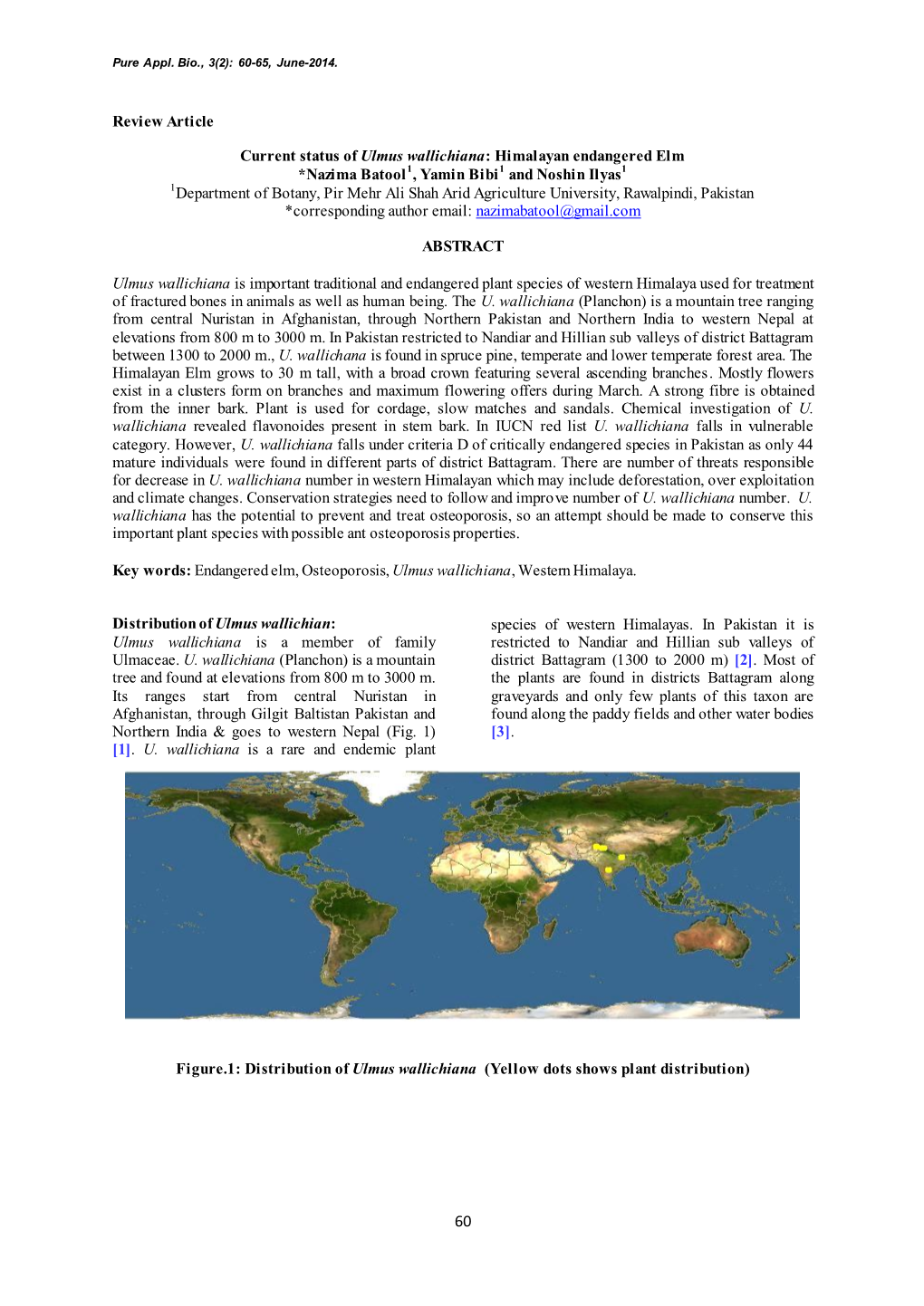 Review Article Current Status of Ulmus Wallichiana: Himalayan Endangered Elm *Nazima Batool1, Yamin Bibi1 and Noshin Ilyas1 1Dep