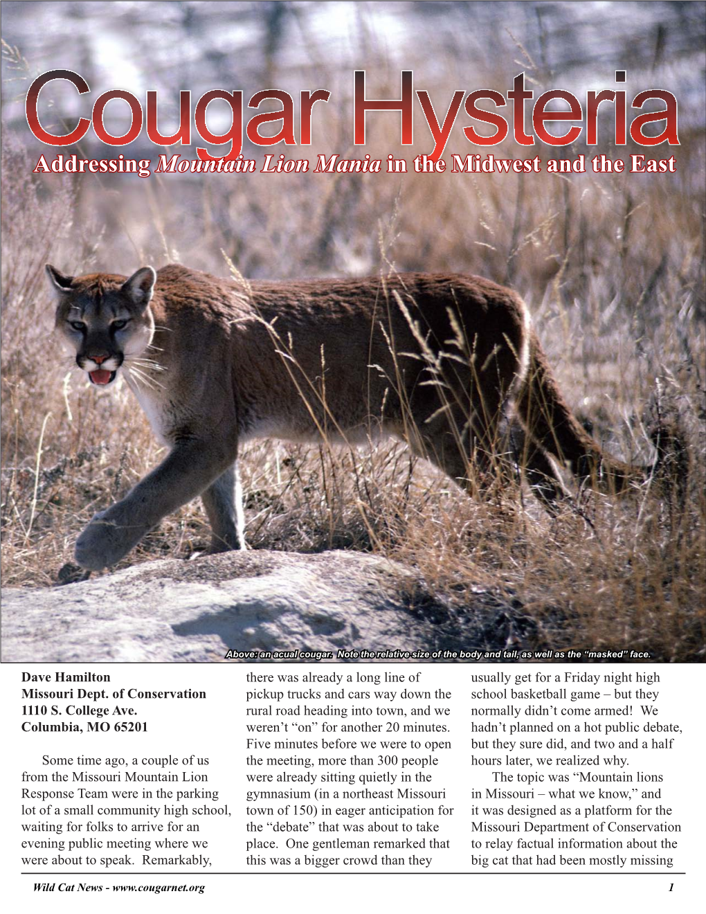 Addressing Mountain Lion Mania in the Midwest and the East