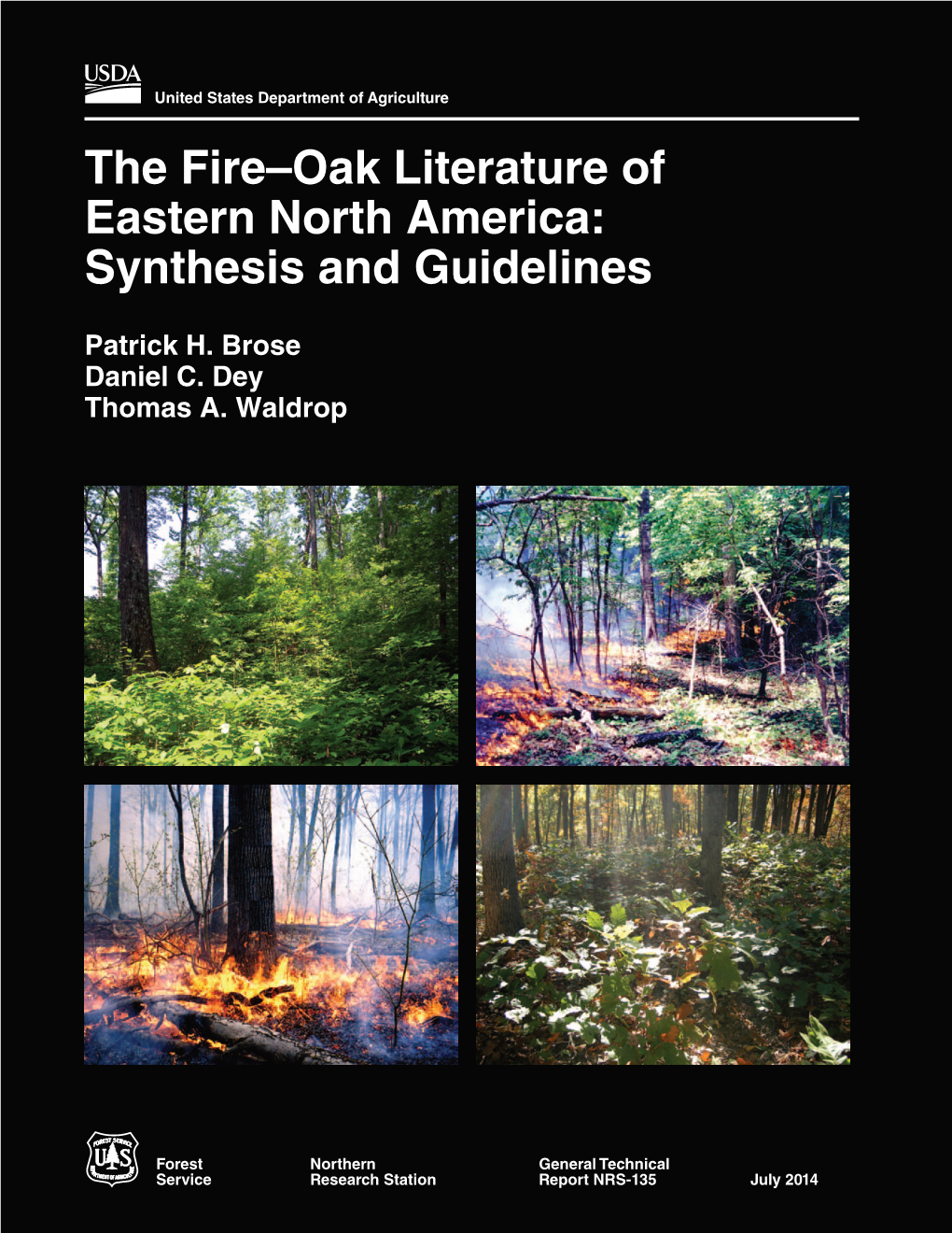 The Fire–Oak Literature of Eastern North America: Synthesis and Guidelines