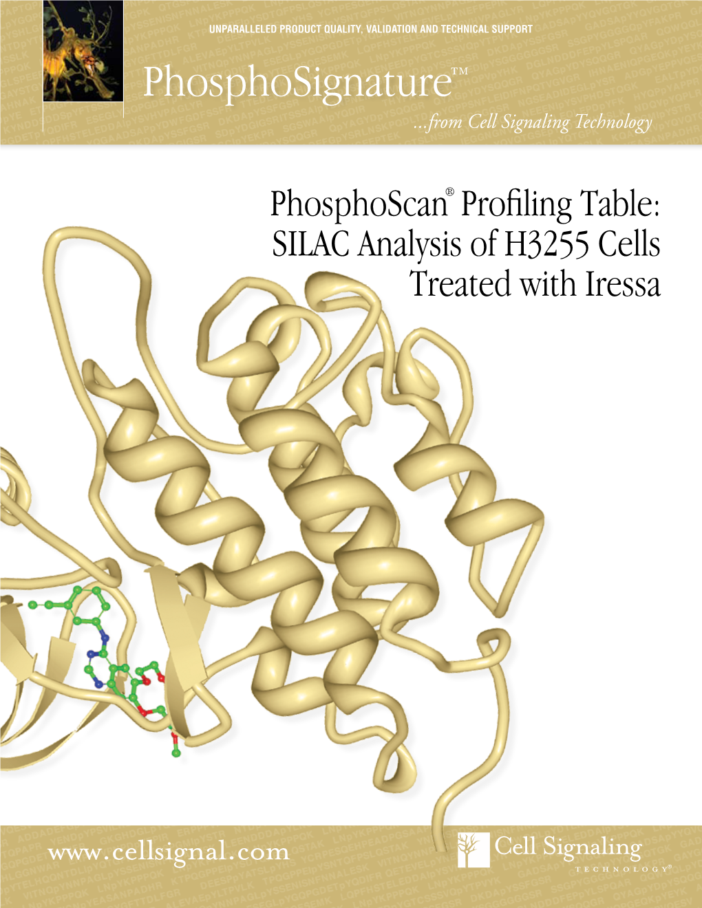 Phosphosignature™ ...From Cell Signaling Technology