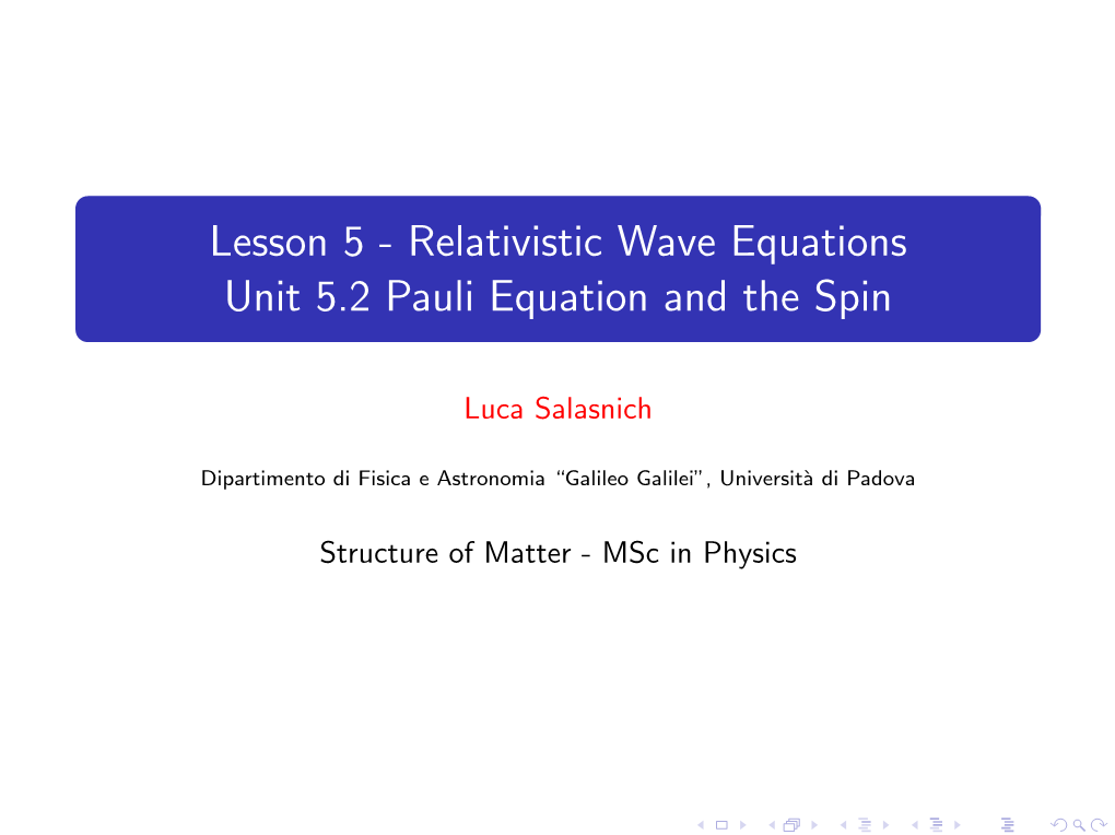 Pauli Equation and the Spin