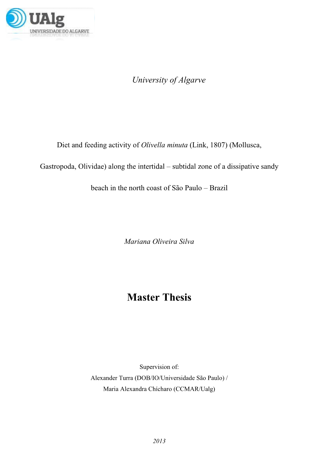 Master Thesis