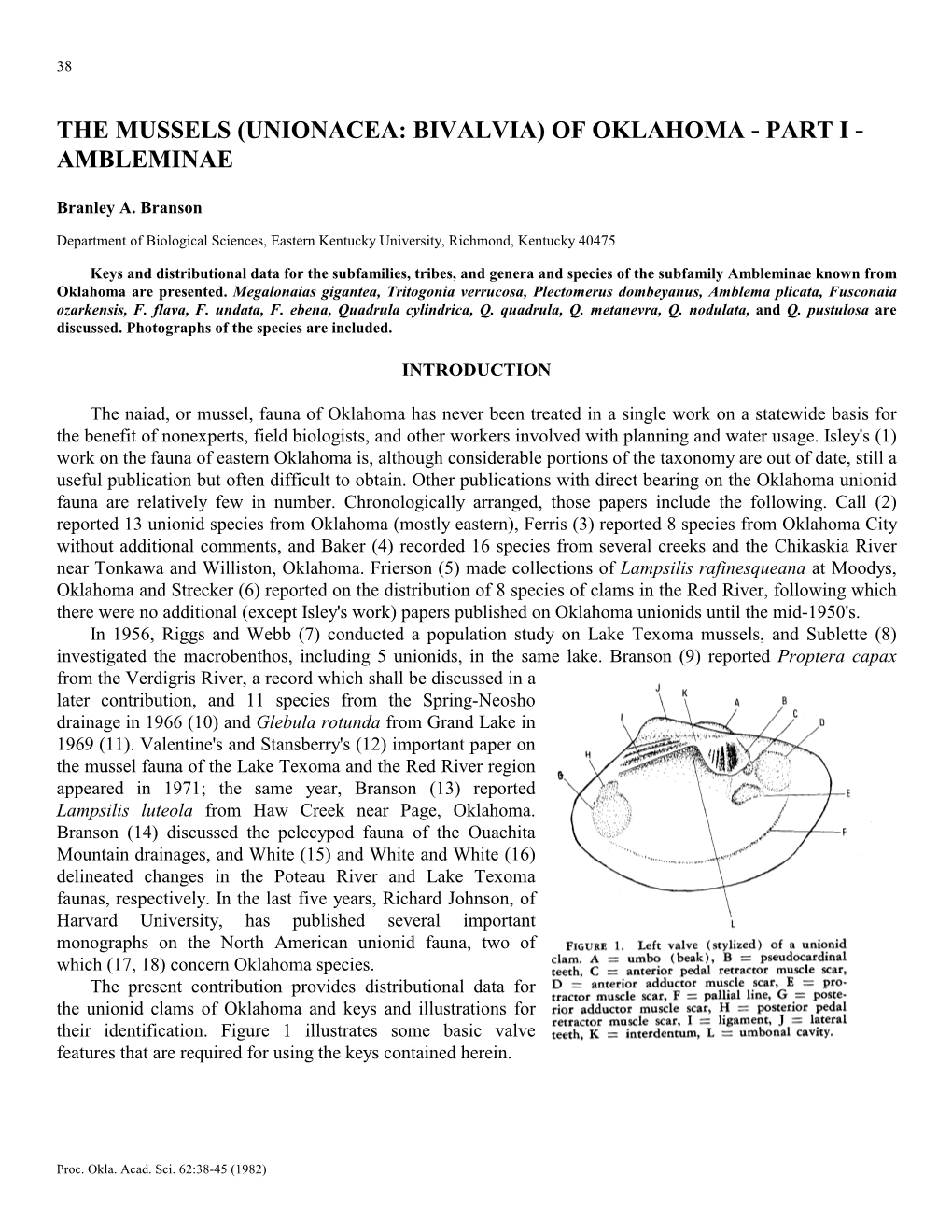 The Mussels (Unionacea: Bivalvia) of Oklahoma - Part I - Ambleminae