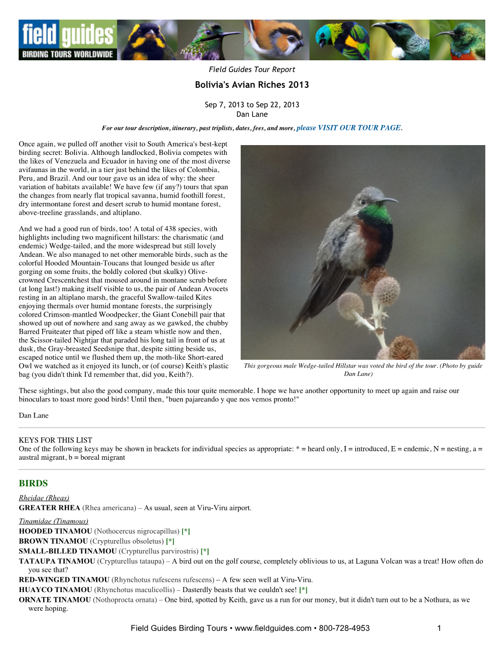 FIELD GUIDES BIRDING TOURS: Bolivia's Avian Riches 2013