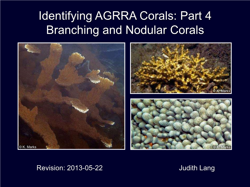 Identifying AGRRA Corals: Part 4 Branching and Nodular Corals