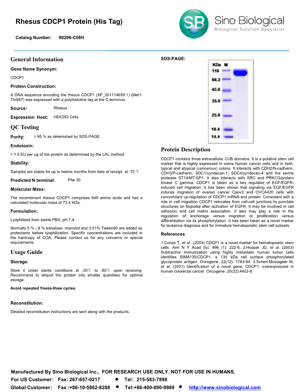 Rhesus CDCP1 Protein (His Tag)