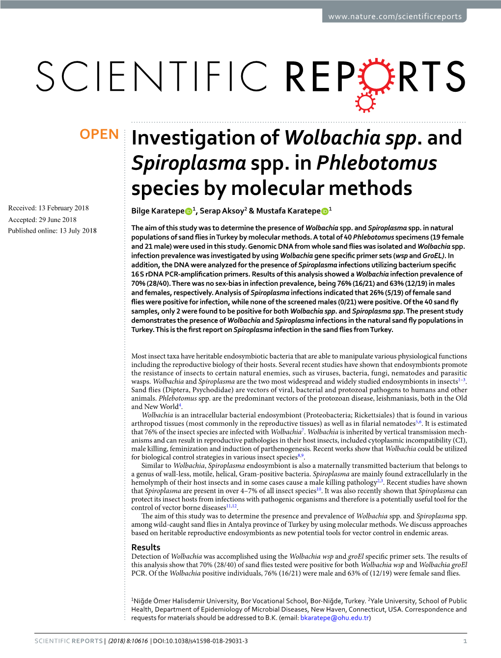 Investigation of Wolbachia Spp. and Spiroplasma Spp. in Phlebotomus