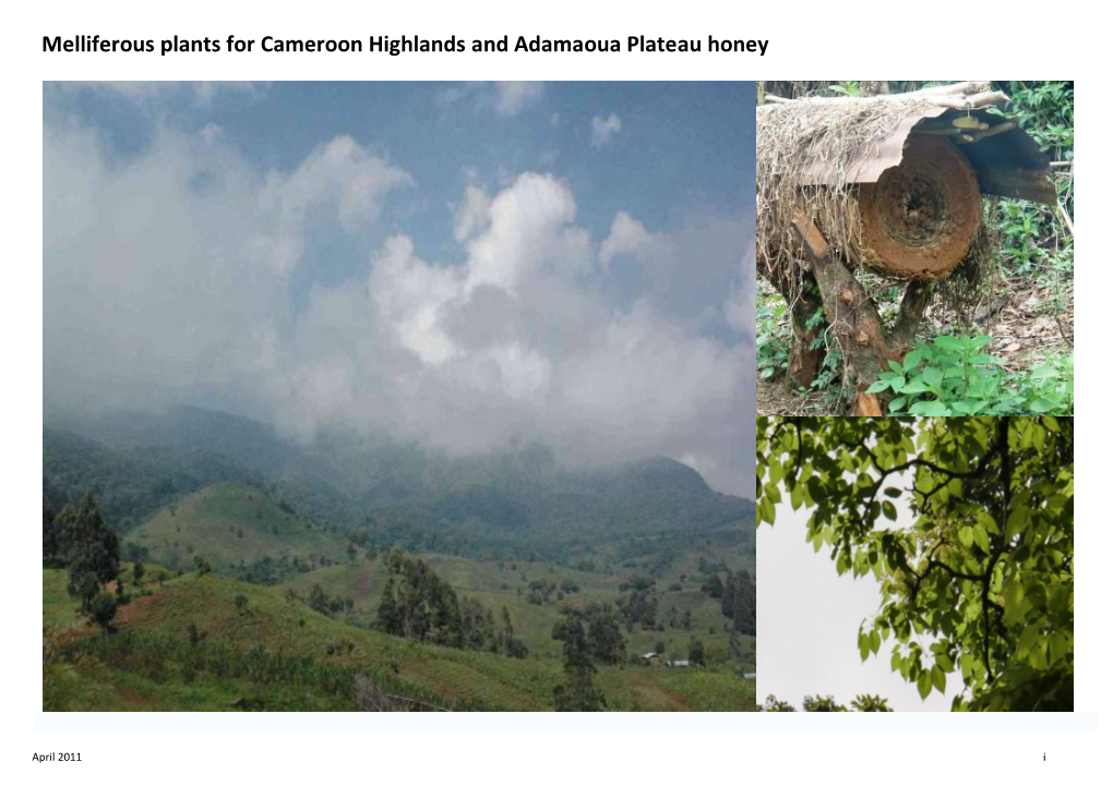 Melliferous Plants for Cameroon Highlands and Adamaoua Plateau Honey