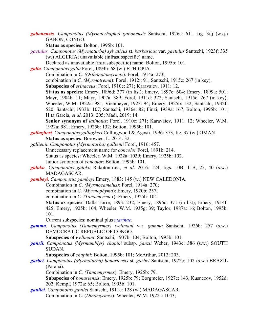 Gabonensis. Camponotus (Myrmacrhaphe) Gabonensis Santschi, 1926C: 611, Fig