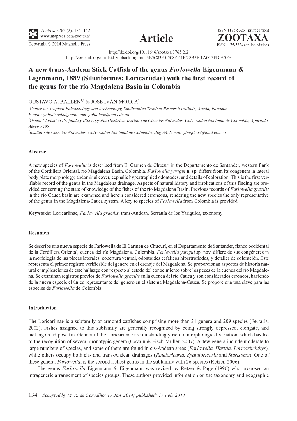 A New Trans-Andean Stick Catfish of the Genus Farlowella Eigenmann