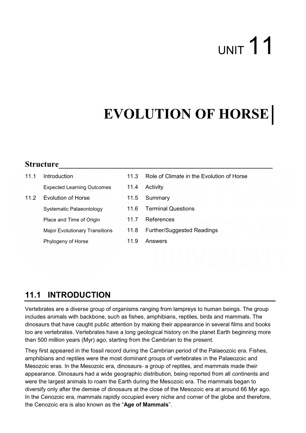 Evolution of Horse