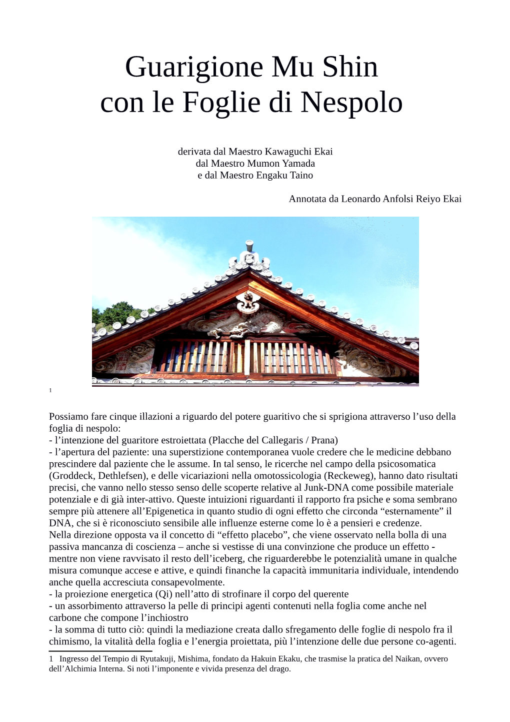 Guarigione Mu Shin Con Le Foglie Di Nespolo