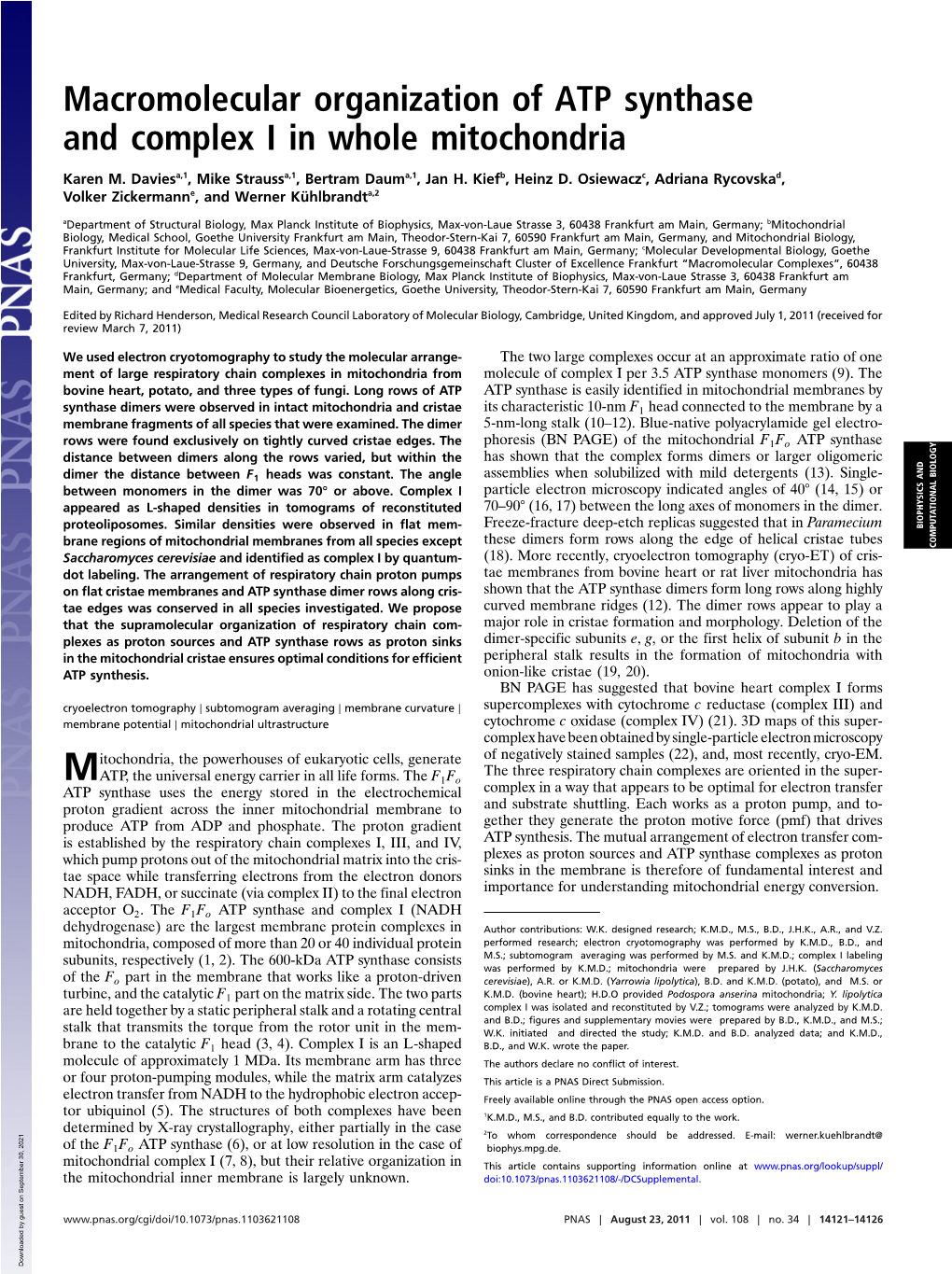 Macromolecular Organization of ATP Synthase and Complex I in Whole Mitochondria