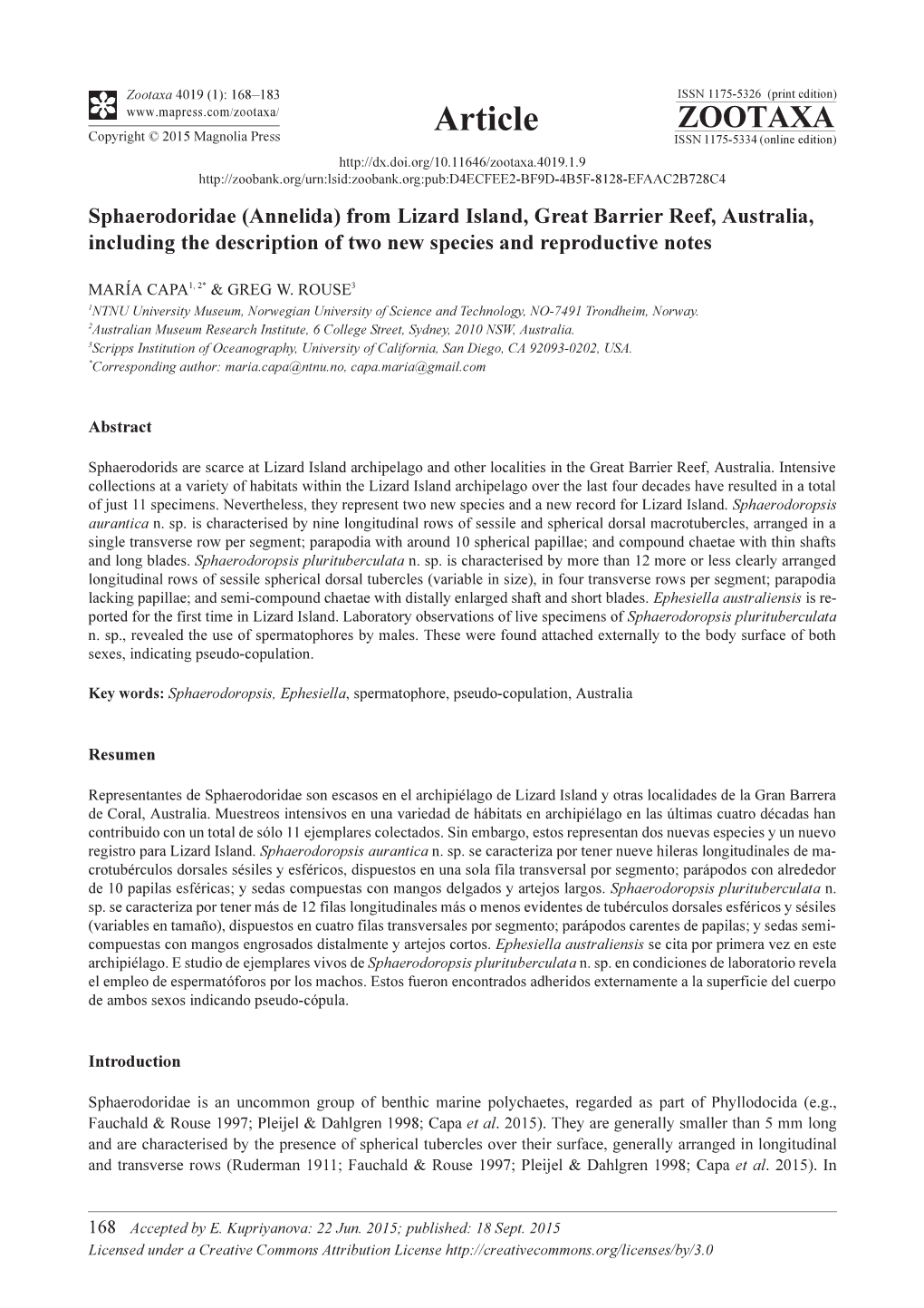 Sphaerodoridae (Annelida) from Lizard Island, Great Barrier Reef, Australia, Including the Description of Two New Species and Reproductive Notes