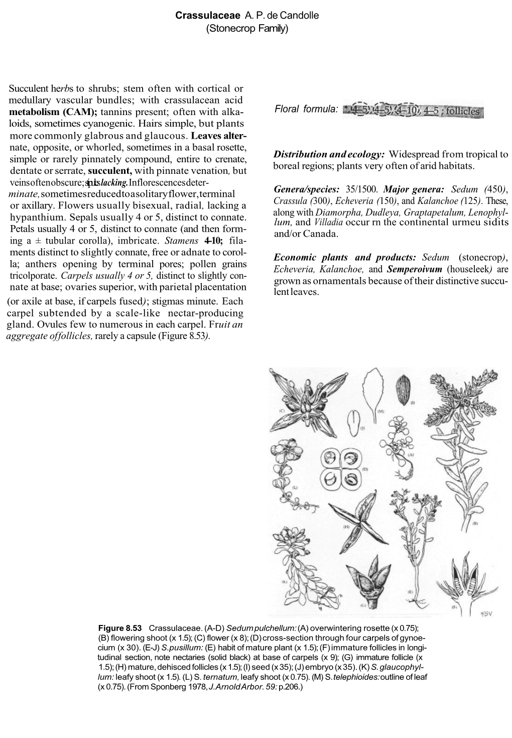 Crassulaceae A. P. De Candolle (Stonecrop Family) Succulent Herbs to Shrubs; Stem Often with Cortical Or Medullary Vascular Bund