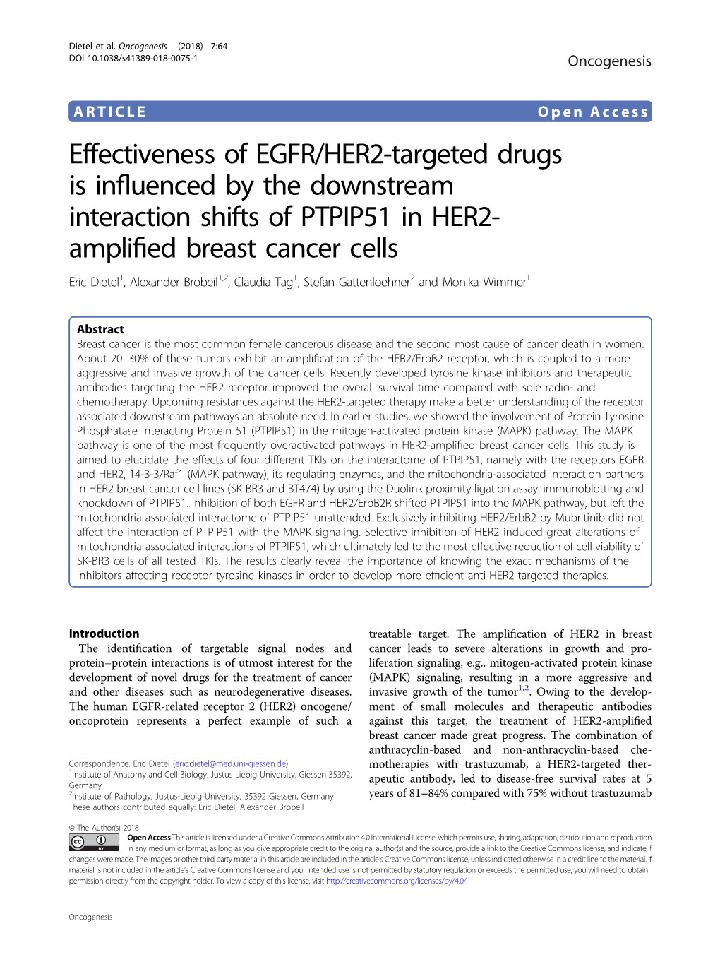 Effectiveness of EGFR/HER2-Targeted Drugs Is Influenced by The