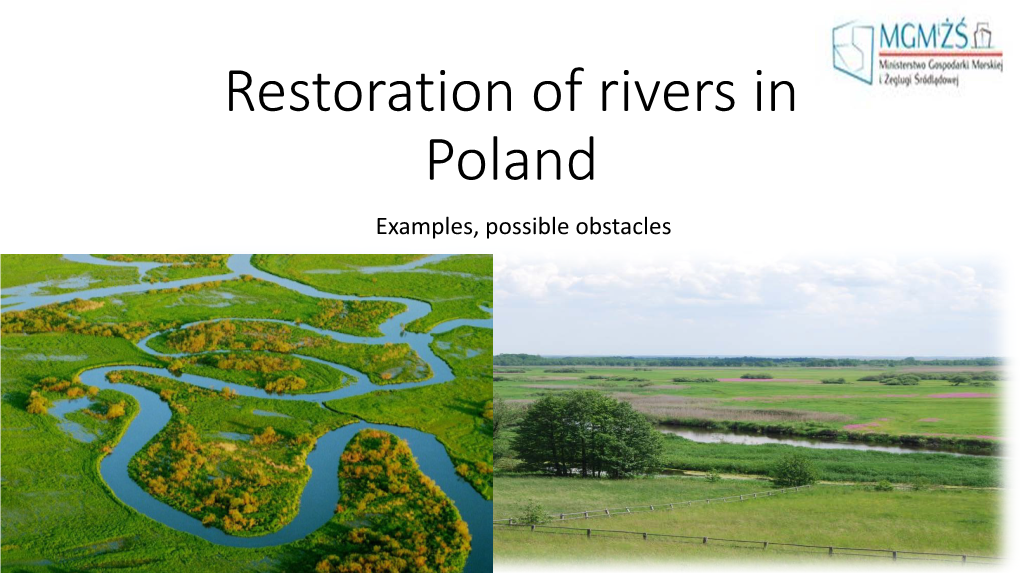 Polish Experiences River Restoration