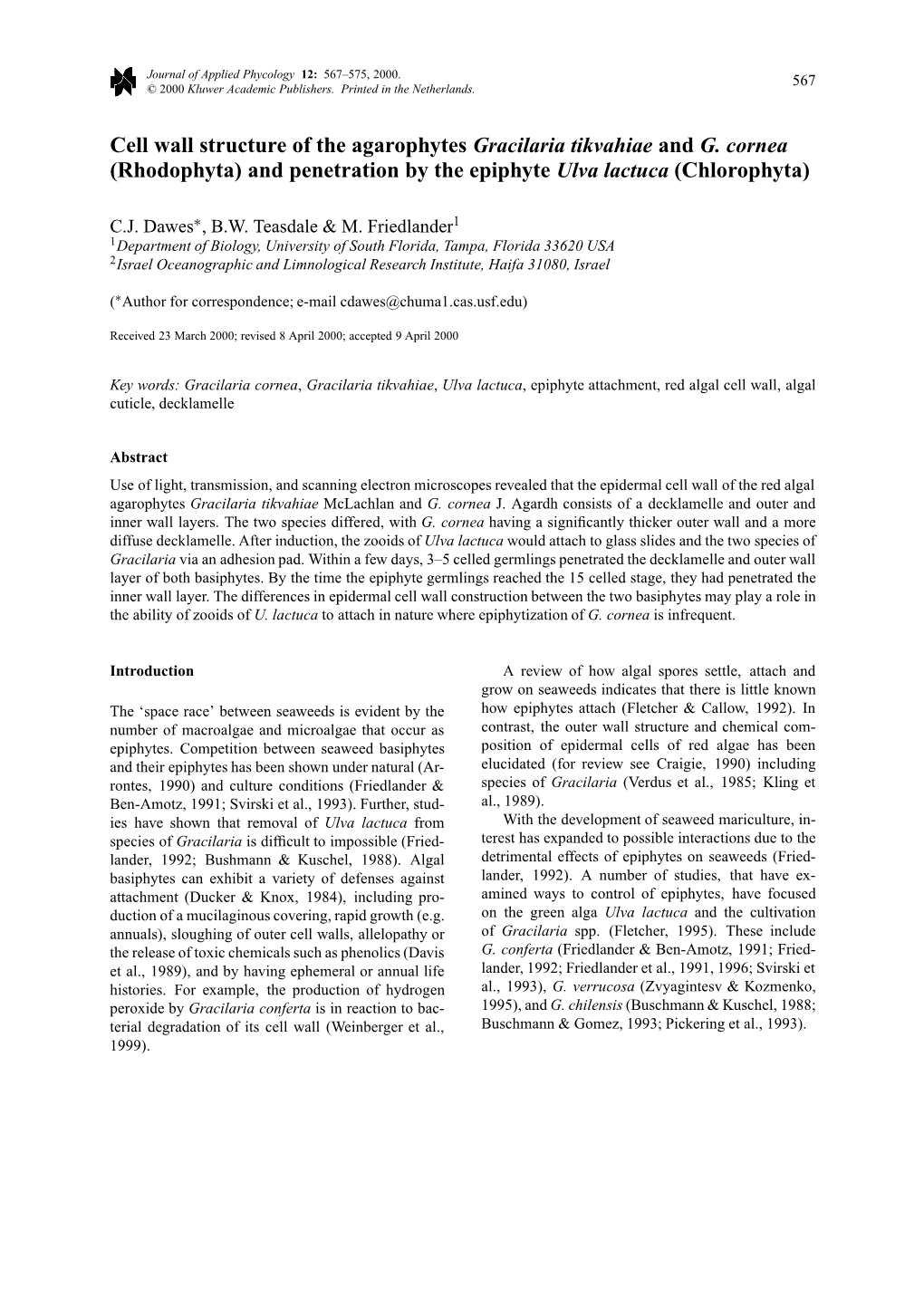 Cell Wall Structure of the Agarophytes Gracilaria Tikvahiae and G. Cornea (Rhodophyta) and Penetration by the Epiphyte Ulva Lactuca (Chlorophyta)