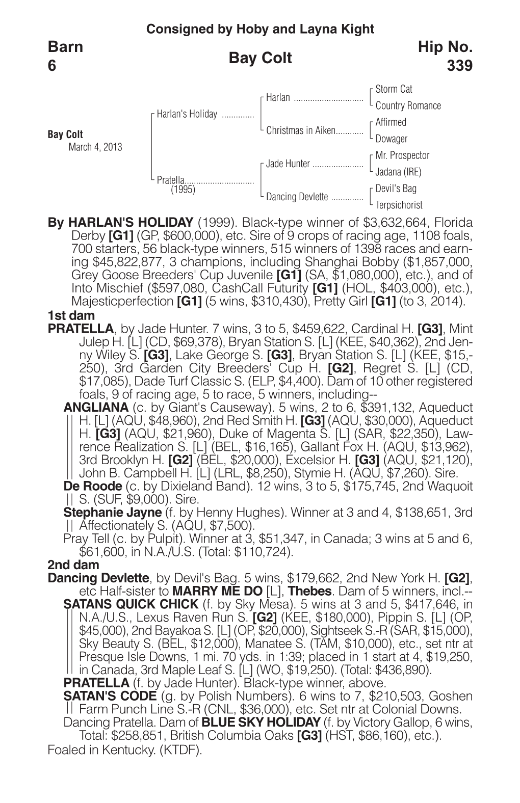 Bay Colt Barn 6 Hip No