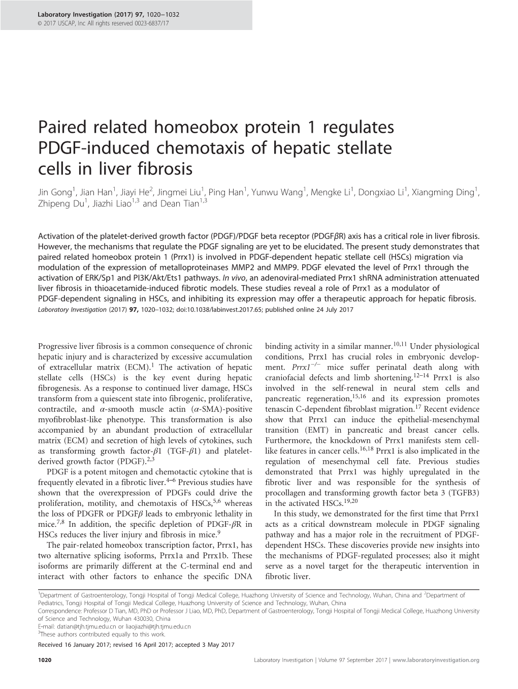 Paired Related Homeobox Protein 1 Regulates PDGF-Induced Chemotaxis of Hepatic Stellate Cells in Liver Fibrosis