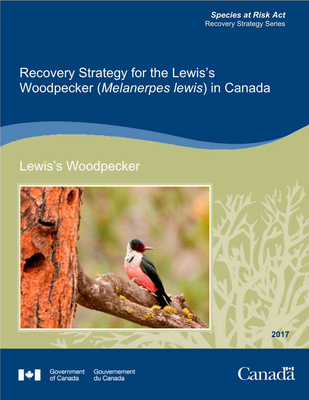 Recovery Strategy for the Lewis's Woodpecker