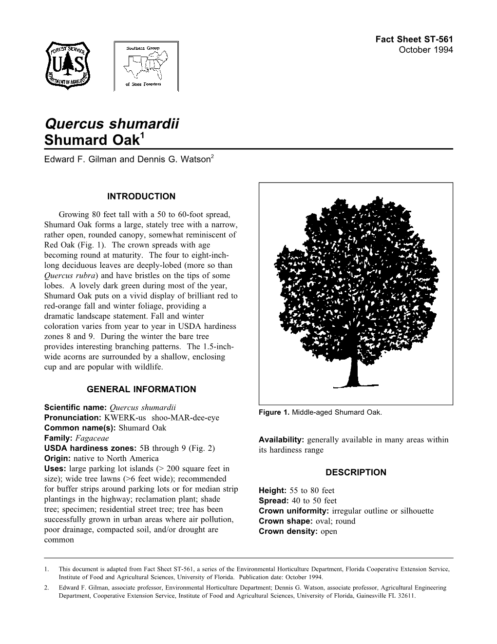 Quercus Shumardii Shumard Oak1 Edward F