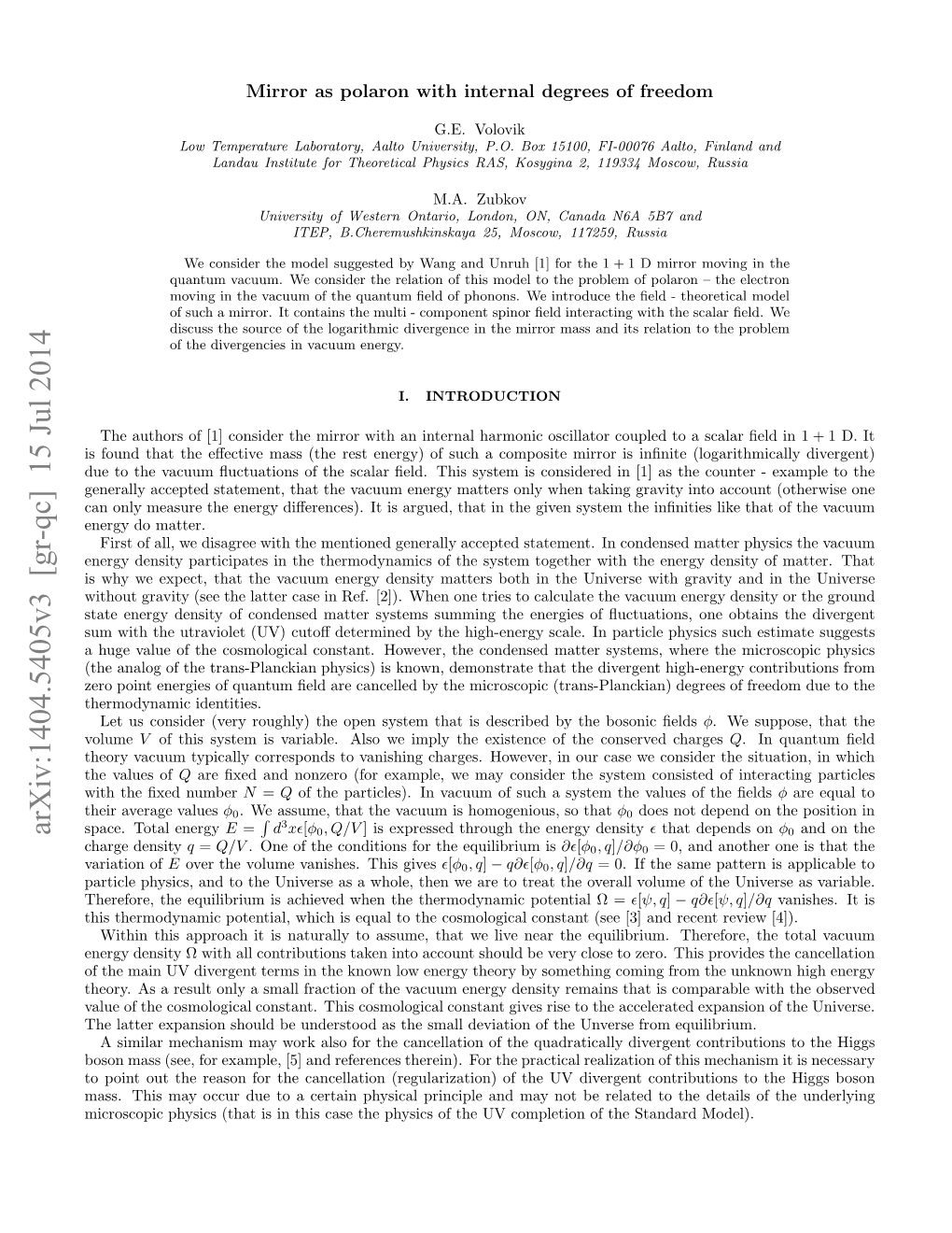 Mirror As Polaron with Internal Degrees of Freedom