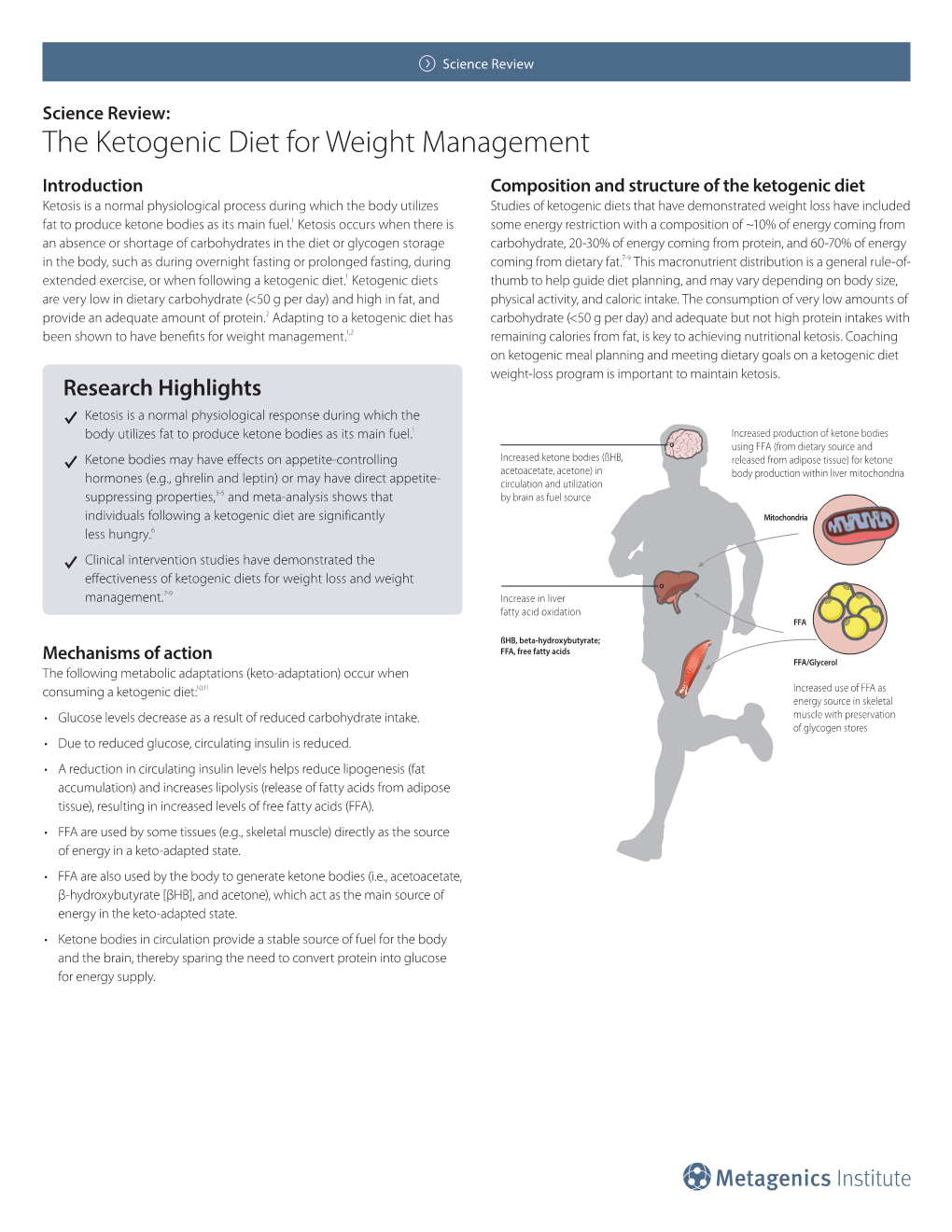 The Ketogenic Diet for Weight Management