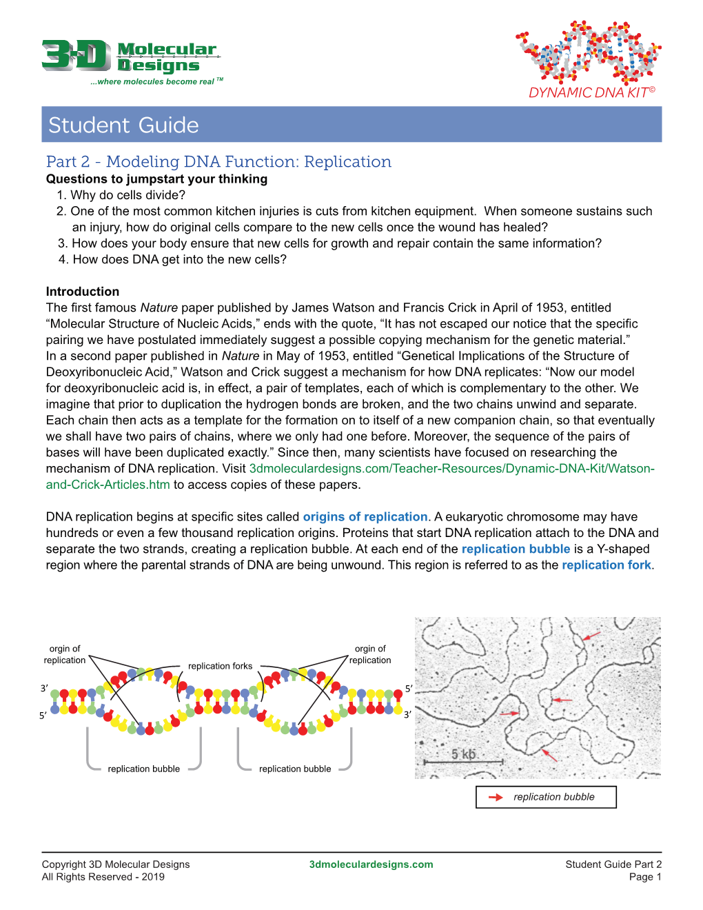 Part 2 - Modeling DNA Function: Replication Questions to Jumpstart Your Thinking 1