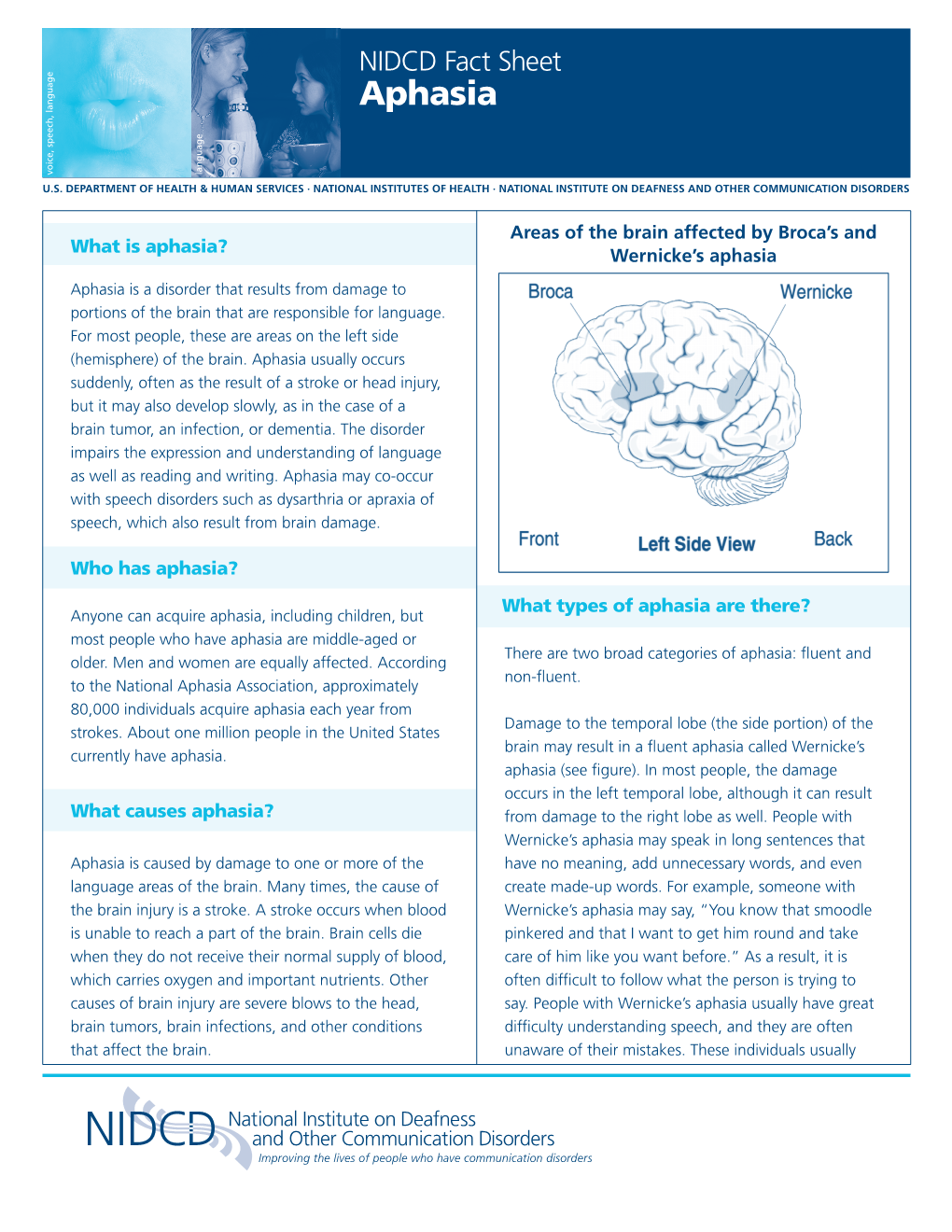 Aphasia Voice, Speech, Language Language U.S