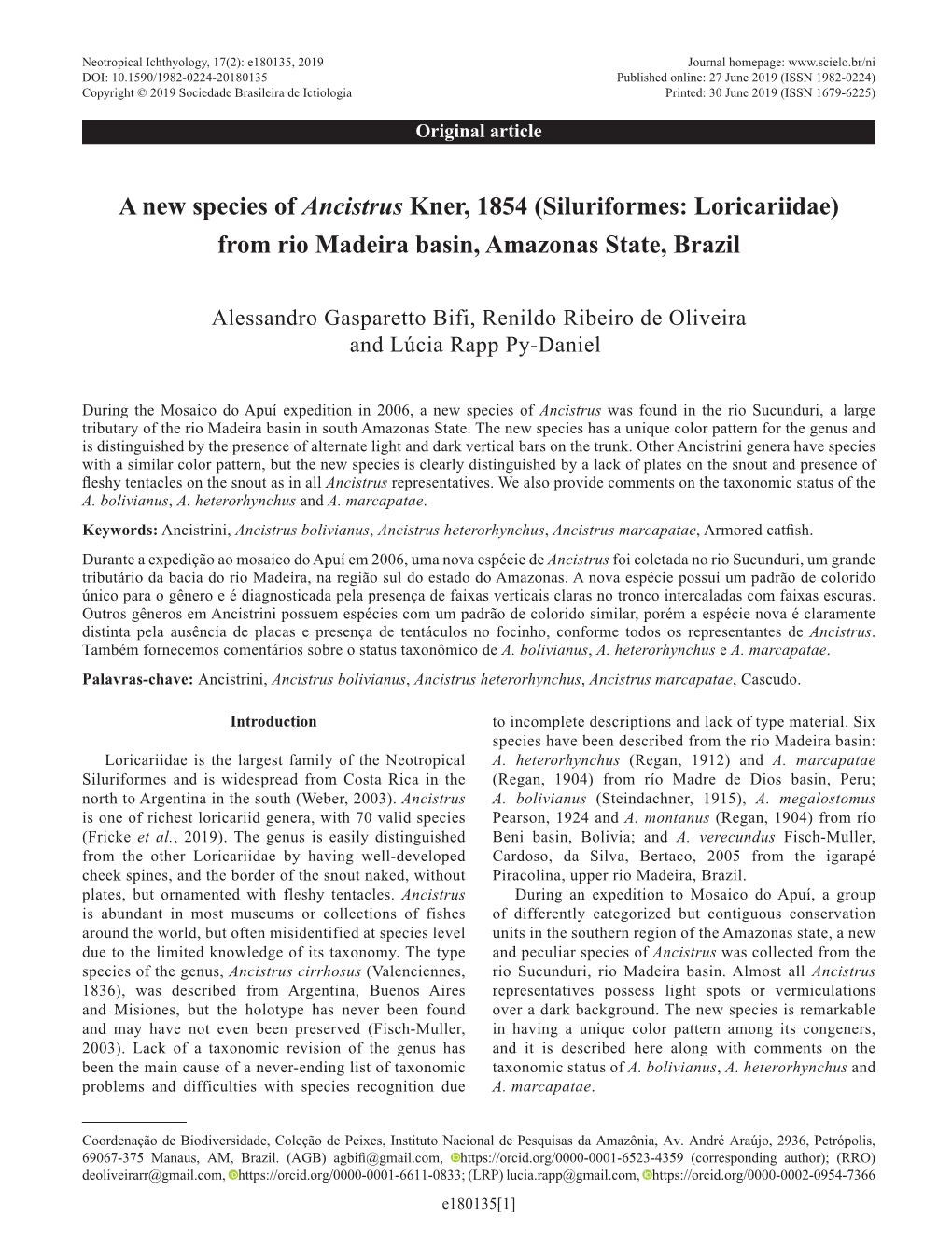 A New Species of Ancistrus Kner, 1854 (Siluriformes: Loricariidae) from Rio Madeira Basin, Amazonas State, Brazil