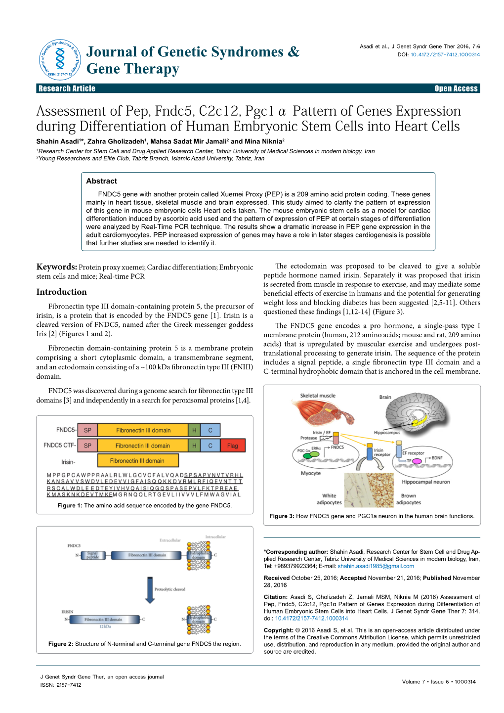 Assessment of Pep, Fndc5, C2c12, Pgc1α Pattern of Genes Expression