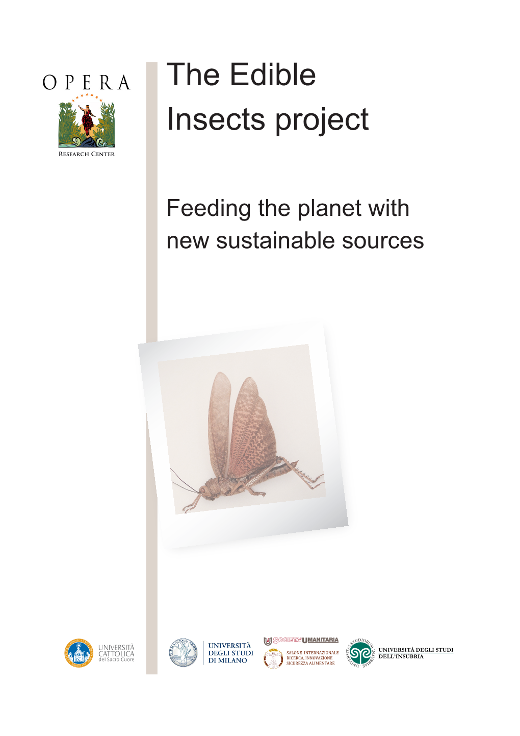The Edible Insects Project