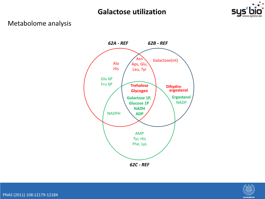 Galactose Utilization Metabolome Analysis