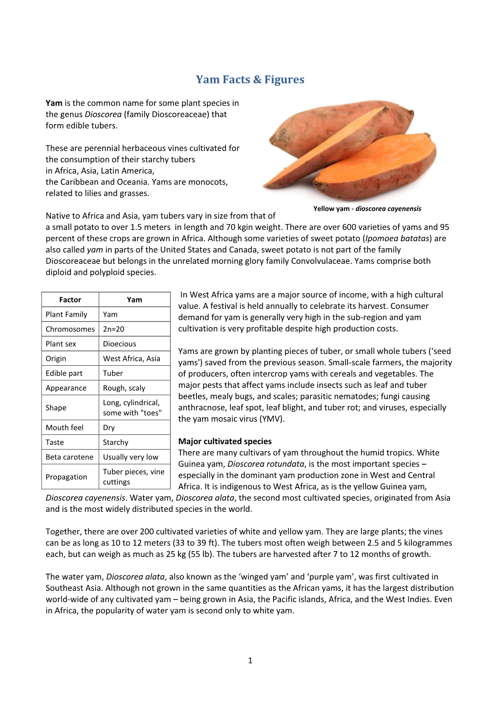 Yam Facts & Figures