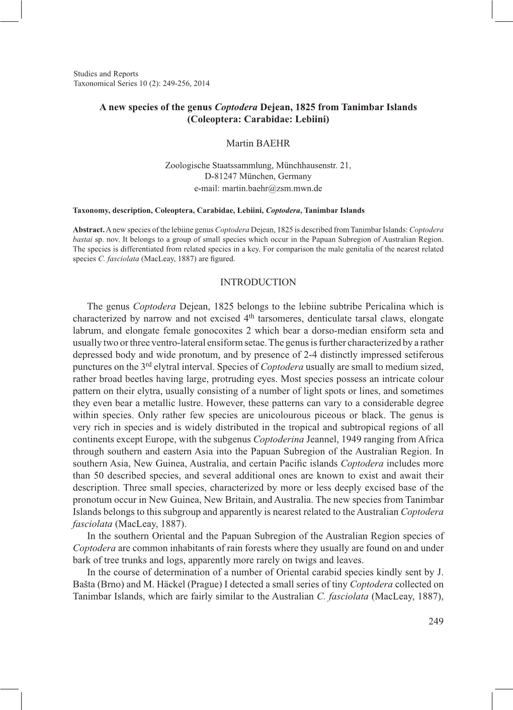 A New Species of the Genus Coptodera Dejean, 1825 from Tanimbar Islands (Coleoptera: Carabidae: Lebiini)