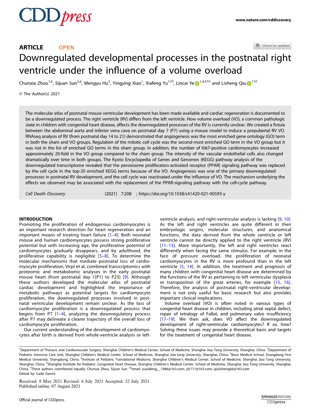 Downregulated Developmental Processes in the Postnatal Right