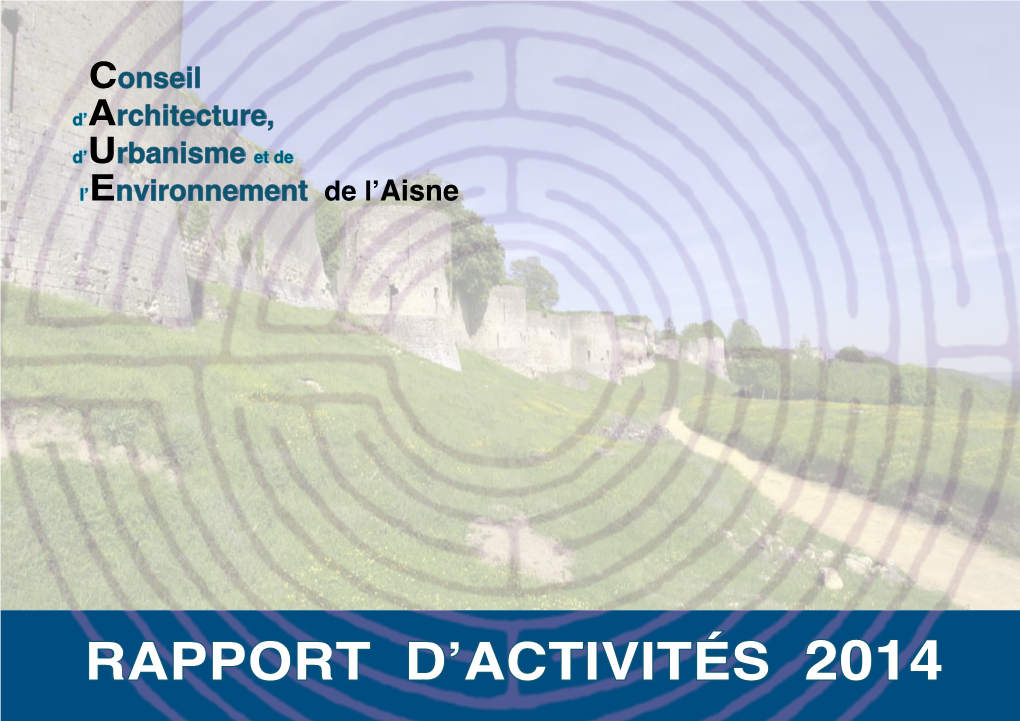 Rapport D'activités 2014